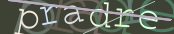 The image did not appear.