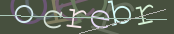 The image did not appear.