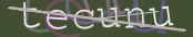 The image did not appear.