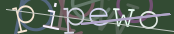 The image did not appear.