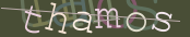 The image did not appear.