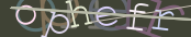The image did not appear.