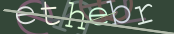 The image did not appear.