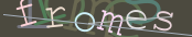 The image did not appear.