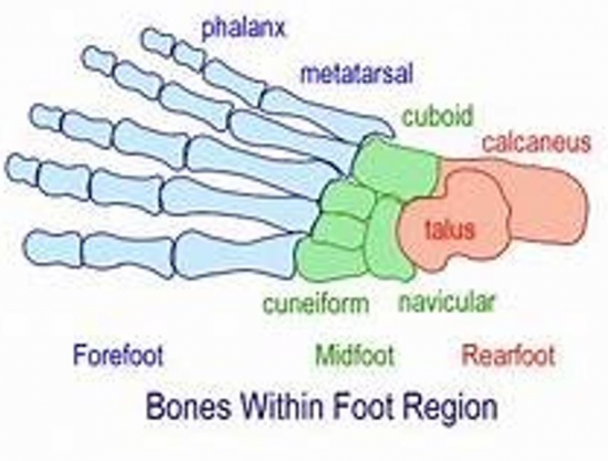 Midfoot Arthritis - OPTSC