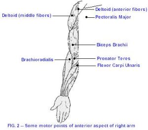 Radiographic view of the elbow and cervical spine