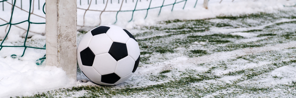 JOINT PAIN IN WINTER: MYTH OR REALITY?